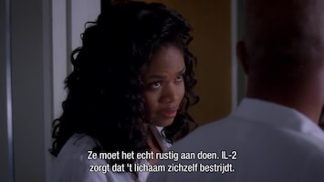 Grey's Anatomy Sweet surrender