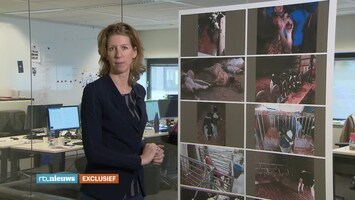 Rtl Nieuws - 19:30 Uur - 07:00 Uur