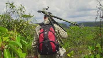 Wild Colombia - Chiribiquete