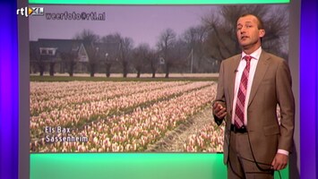 Rtl Weer - 19:55 Uur