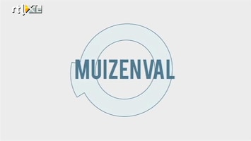 Minute To Win It Muizenval