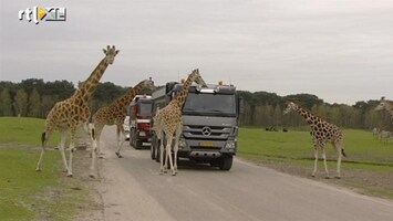 RTL Transportwereld Mercedes Actros met Wide Spread