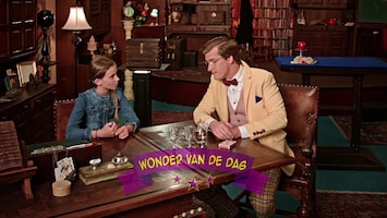 Wonderschool Wonder van de omgekeerde kaart