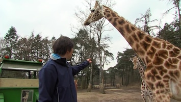 Burgers' Zoo Natuurlijk Afl. 1