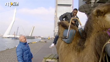 Leven Als Een Prof Gio op een nepolifant, Ruben op een echte kameel
