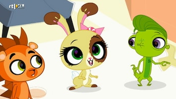 Littlest Pet Shop - Wat Zit Er In Het Beslag?