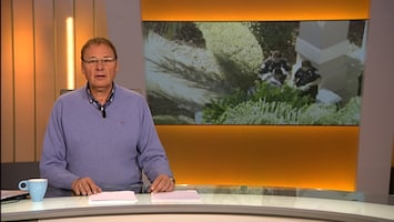 RTL Nieuws RTL Nieuws - 07:00 uur