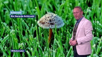 RTL Weer Laat