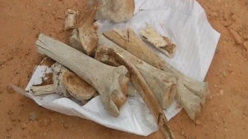 RTL Nieuws Graf met 1200 lichamen gevonden in Tripoli