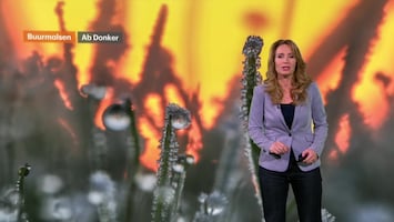 RTL Weer Laat