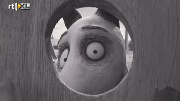 Films & Sterren Setbezoek Frankenweenie