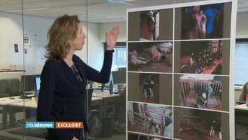 Rtl Nieuws - 19:30 Uur - 09:00 Uur