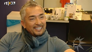 RTL Boulevard Cesar Millan - The Dogwhisperer