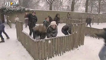 Editie NL Profiteren van de sneeuw