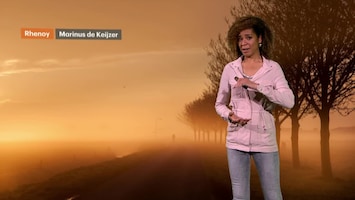 RTL Weer Laat