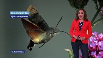 Rtl Weer - 19:55 Uur