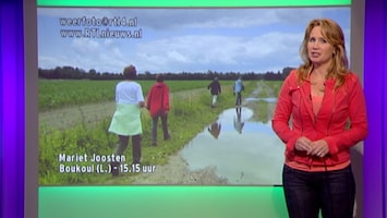 Rtl Weer - 19:55 Uur