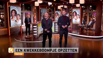 Rtl Boulevard - Afl. 9