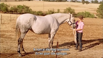 McLeod's Daughters Show pony