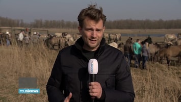 Rtl Nieuws - 19:30 Uur - 19:30 Uur