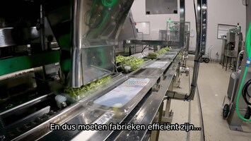 Superfabrieken