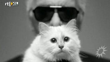 RTL Boulevard Kat Karl Lagerfeld hit op twitter