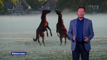 Rtl Weer - 19:55