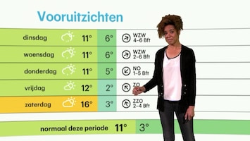 Rtl Weer - 19:55 Uur