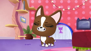 Littlest Pet Shop: A World Of Our Own - Afl. 43