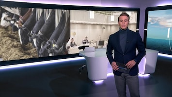 Rtl Nieuws - 19:30 Uur - 08:00 Uur