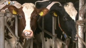 RTL Z Nieuws DSM stort zich op de markt voor diervoeding in Brazilië