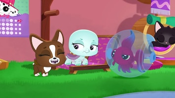 Littlest Pet Shop: A World Of Our Own - Afl. 52