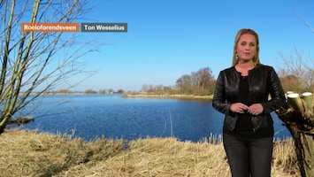 Rtl Weer - Laat