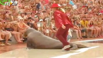 Editie NL Humor: walrus doet Michael Jackson na