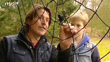 Green-kids Spinnen: vraag van de dag