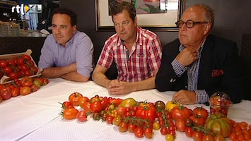 Editie NL De grote tomaten-test