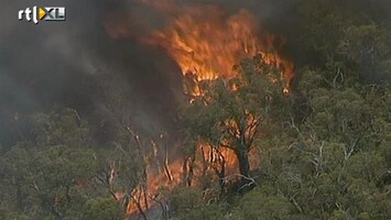 RTL Z Nieuws Steeds meer bosbranden in Australië: rampzalig