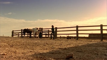 Mcleod's Daughters - For Love Or Money