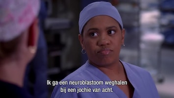 Grey's Anatomy - Here's To Future Days