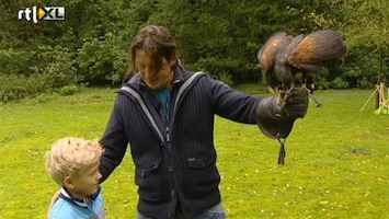 Green-kids 'Wat eten roofvogels?'