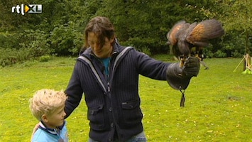 Green-kids 'Wat eten roofvogels?'