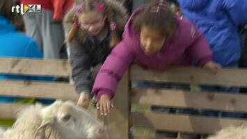 RTL Nieuws Tweede paasdag: schapen knuffelen en boogschieten