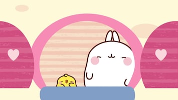 Molang - Afl. 27