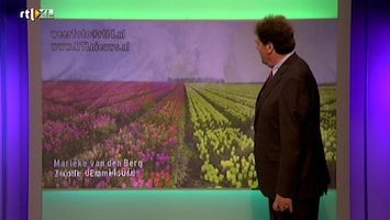 RTL Weer RTL Weer (late Uitzending)