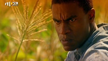 Csi: Miami - Csi: Miami &#34;bad Seed 8 /5&#34;