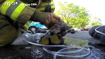 RTL Nieuws Brandweerman reanimeert kitten