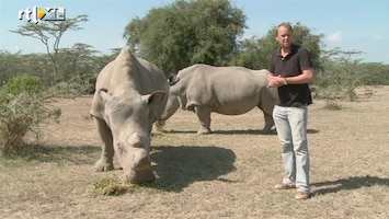 RTL Nieuws Onbemande vliegtuigjes tegen neushoorn-stropers