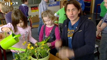 Green-kids Groenten en bloemen kweken in de klas