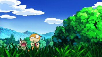 Pokémon - Scraggy En De Veeleisende Gothita