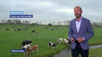 RTL Weer Laat 2021